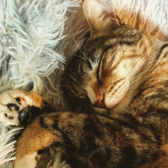 Hello 🥰 - Picture 3 of 8